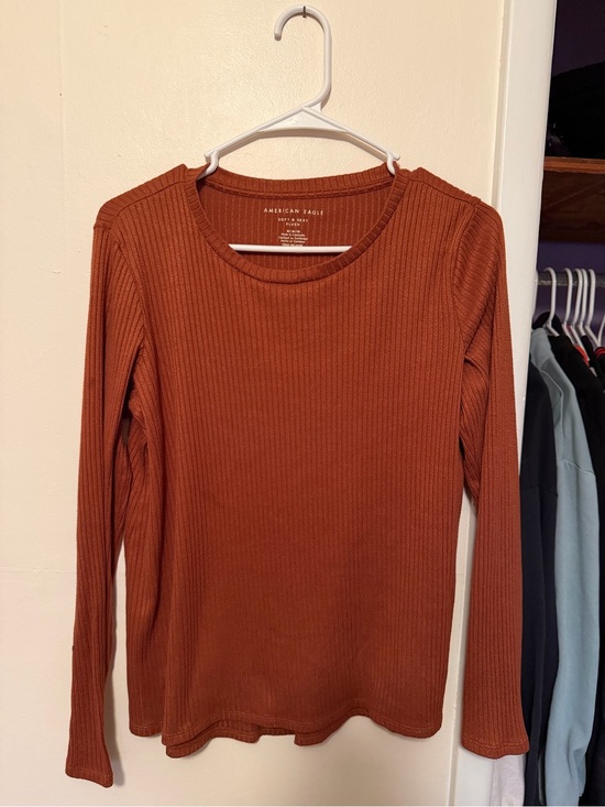 American Eagle Outfitters Tops - American Eagle Soft & Sexy Plush Long Sleeve Shirt (Medium)